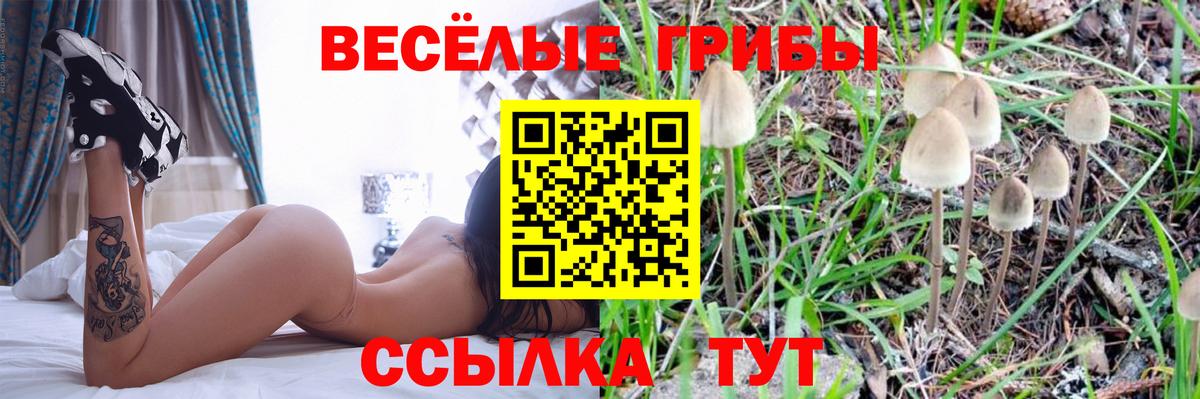 Галлюциногенные грибы Psilocybe  Вход с VPN  Мурино  Псилоцибиновые грибы Psilocybine cubensis 