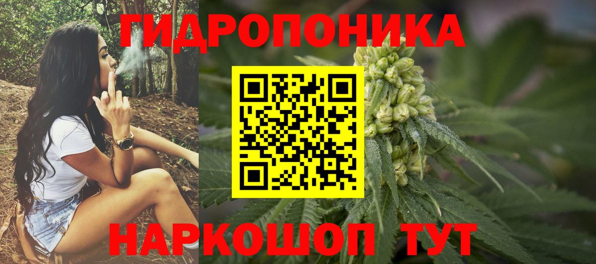Каннабис сатива Мурино